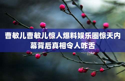 曹敏儿曹敏儿惊人爆料娱乐圈惊天内幕背后真相令人咋舌