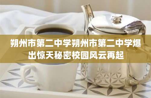 朔州市第二中学朔州市第二中学爆出惊天秘密校园风云再起