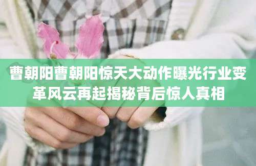 曹朝阳曹朝阳惊天大动作曝光行业变革风云再起揭秘背后惊人真相