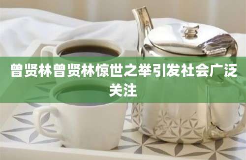 曾贤林曾贤林惊世之举引发社会广泛关注
