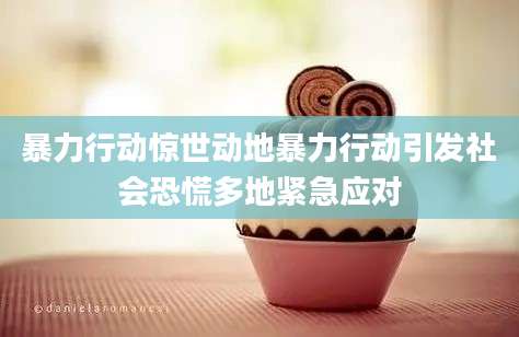 暴力行动惊世动地暴力行动引发社会恐慌多地紧急应对