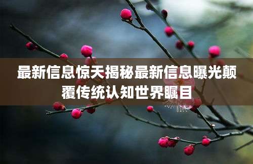 最新信息惊天揭秘最新信息曝光颠覆传统认知世界瞩目
