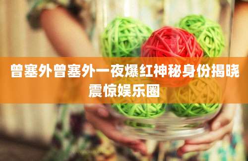 曾塞外曾塞外一夜爆红神秘身份揭晓震惊娱乐圈