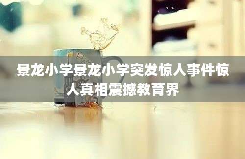景龙小学景龙小学突发惊人事件惊人真相震撼教育界