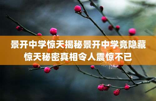 景开中学惊天揭秘景开中学竟隐藏惊天秘密真相令人震惊不已