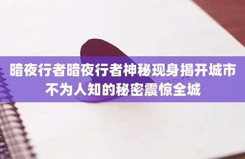 暗夜行者暗夜行者神秘现身揭开城市不为人知的秘密震惊全城