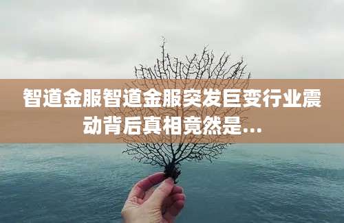 智道金服智道金服突发巨变行业震动背后真相竟然是...