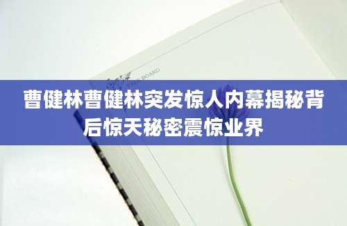 曹健林曹健林突发惊人内幕揭秘背后惊天秘密震惊业界