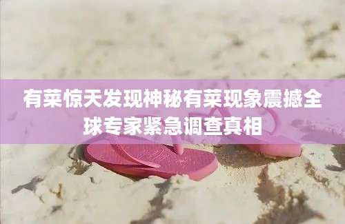 有菜惊天发现神秘有菜现象震撼全球专家紧急调查真相