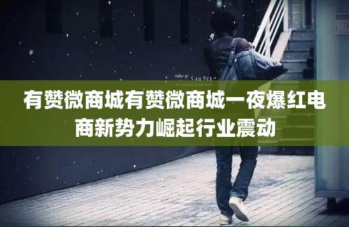 有赞微商城有赞微商城一夜爆红电商新势力崛起行业震动