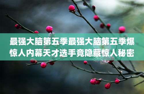 最强大脑第五季最强大脑第五季爆惊人内幕天才选手竟隐藏惊人秘密