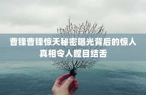 曹锋曹锋惊天秘密曝光背后的惊人真相令人瞠目结舌