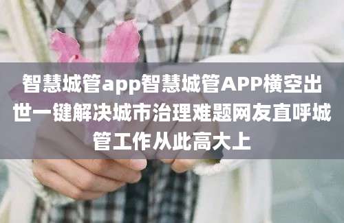 智慧城管app智慧城管APP横空出世一键解决城市治理难题网友直呼城管工作从此高大上