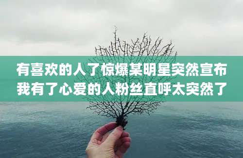 有喜欢的人了惊爆某明星突然宣布我有了心爱的人粉丝直呼太突然了