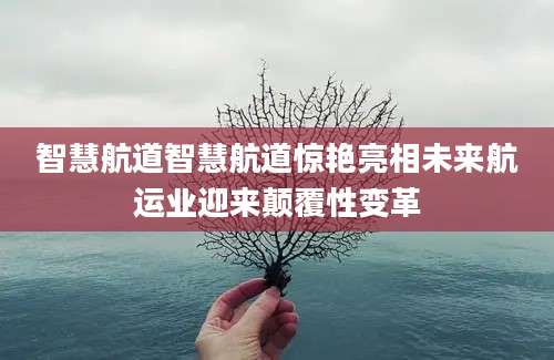 智慧航道智慧航道惊艳亮相未来航运业迎来颠覆性变革