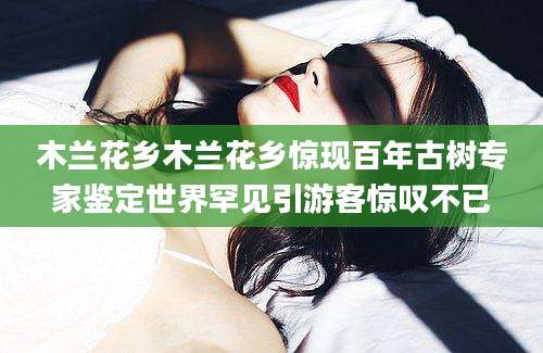 木兰花乡木兰花乡惊现百年古树专家鉴定世界罕见引游客惊叹不已