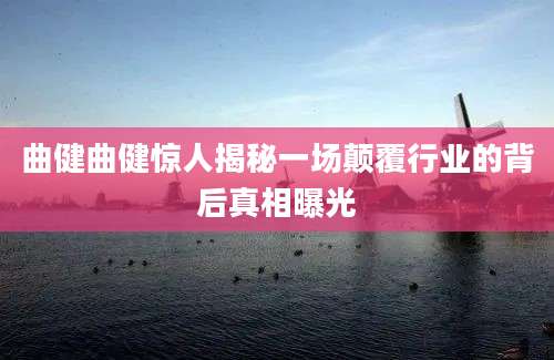 曲健曲健惊人揭秘一场颠覆行业的背后真相曝光