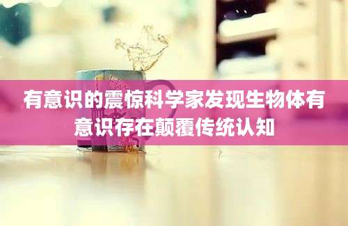有意识的震惊科学家发现生物体有意识存在颠覆传统认知