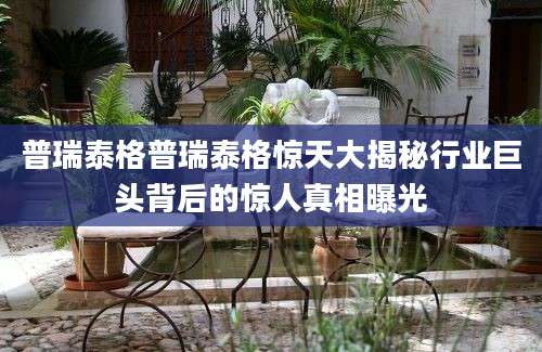 普瑞泰格普瑞泰格惊天大揭秘行业巨头背后的惊人真相曝光