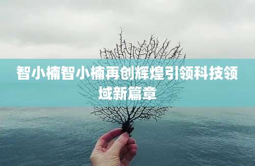智小楠智小楠再创辉煌引领科技领域新篇章