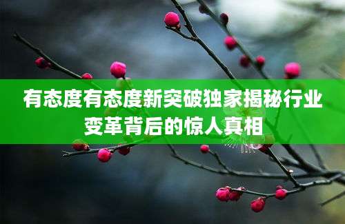 有态度有态度新突破独家揭秘行业变革背后的惊人真相