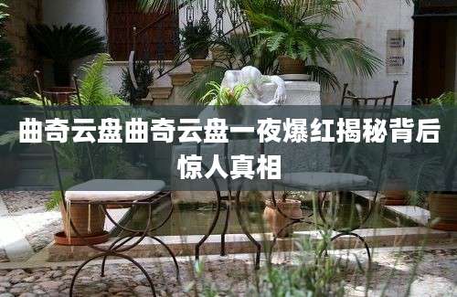 曲奇云盘曲奇云盘一夜爆红揭秘背后惊人真相