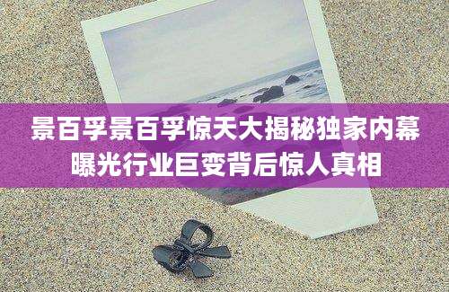 景百孚景百孚惊天大揭秘独家内幕曝光行业巨变背后惊人真相