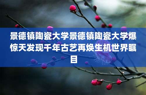 景德镇陶瓷大学景德镇陶瓷大学爆惊天发现千年古艺再焕生机世界瞩目