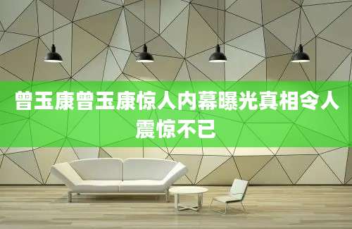 曾玉康曾玉康惊人内幕曝光真相令人震惊不已