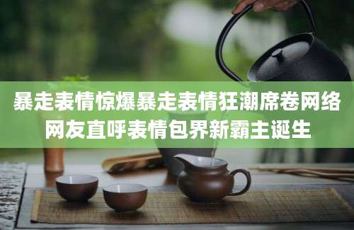 暴走表情惊爆暴走表情狂潮席卷网络网友直呼表情包界新霸主诞生