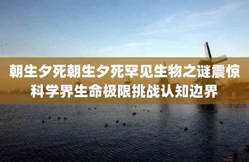 朝生夕死朝生夕死罕见生物之谜震惊科学界生命极限挑战认知边界