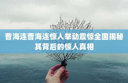 曹海连曹海连惊人举动震惊全国揭秘其背后的惊人真相