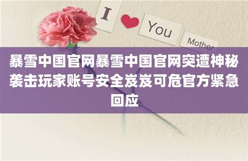 暴雪中国官网暴雪中国官网突遭神秘袭击玩家账号安全岌岌可危官方紧急回应