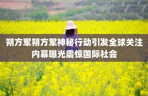 朔方军朔方军神秘行动引发全球关注内幕曝光震惊国际社会