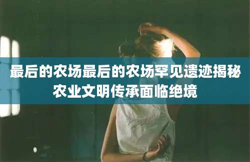最后的农场最后的农场罕见遗迹揭秘农业文明传承面临绝境