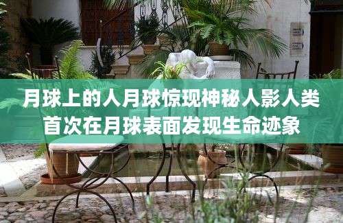 月球上的人月球惊现神秘人影人类首次在月球表面发现生命迹象