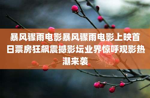 暴风骤雨电影暴风骤雨电影上映首日票房狂飙震撼影坛业界惊呼观影热潮来袭