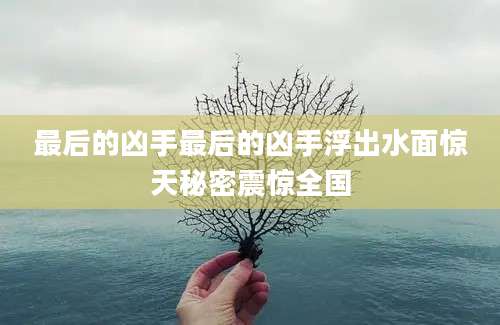最后的凶手最后的凶手浮出水面惊天秘密震惊全国