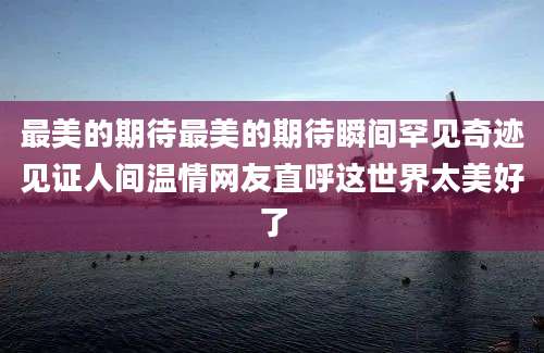最美的期待最美的期待瞬间罕见奇迹见证人间温情网友直呼这世界太美好了