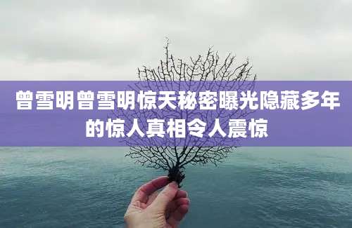 曾雪明曾雪明惊天秘密曝光隐藏多年的惊人真相令人震惊