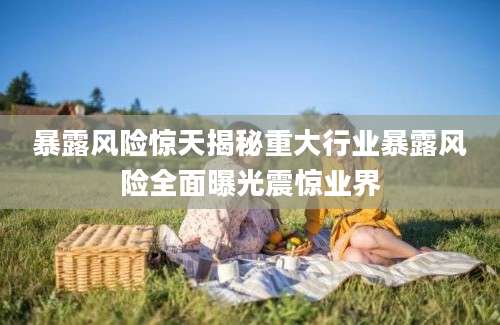 暴露风险惊天揭秘重大行业暴露风险全面曝光震惊业界