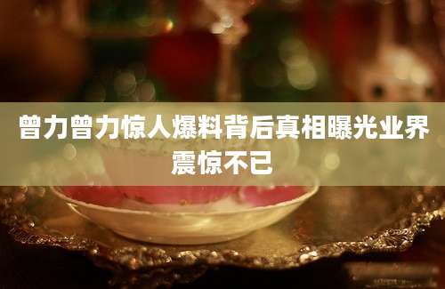 曾力曾力惊人爆料背后真相曝光业界震惊不已