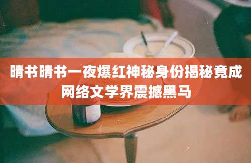 晴书晴书一夜爆红神秘身份揭秘竟成网络文学界震撼黑马