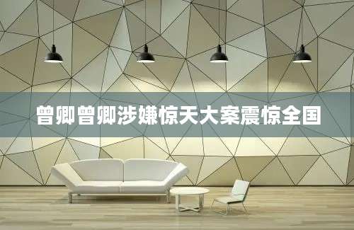 曾卿曾卿涉嫌惊天大案震惊全国