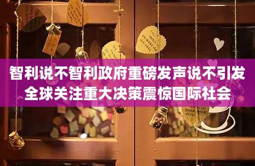 智利说不智利政府重磅发声说不引发全球关注重大决策震惊国际社会