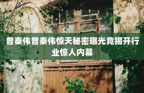 曾秦伟曾秦伟惊天秘密曝光竟揭开行业惊人内幕