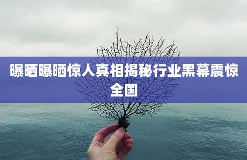 曝晒曝晒惊人真相揭秘行业黑幕震惊全国