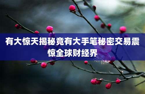 有大惊天揭秘竟有大手笔秘密交易震惊全球财经界