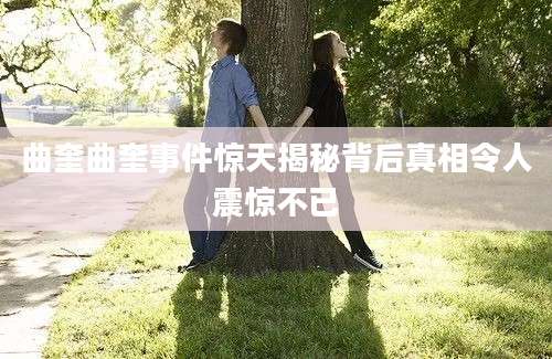曲奎曲奎事件惊天揭秘背后真相令人震惊不已