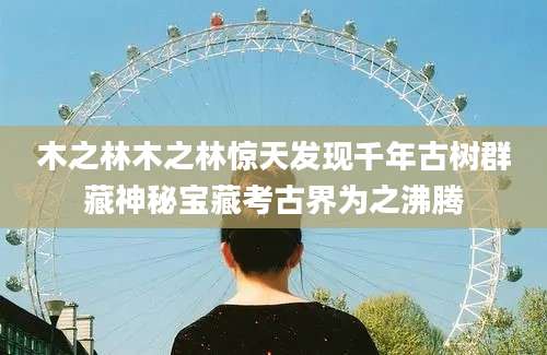 木之林木之林惊天发现千年古树群藏神秘宝藏考古界为之沸腾